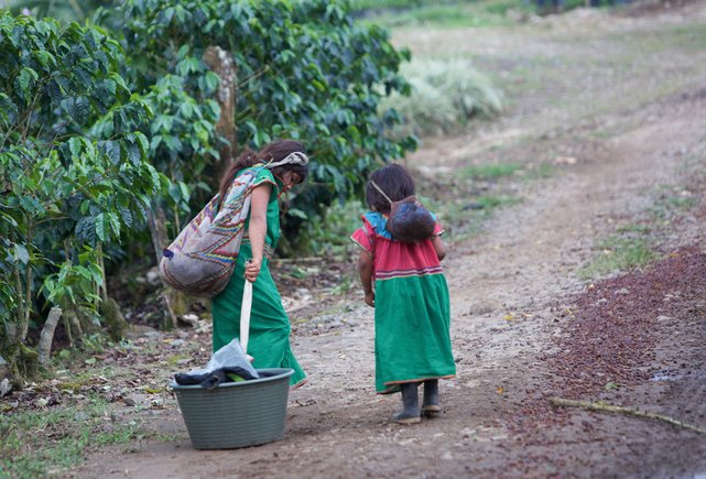 Child labor in Costa Rican coffee