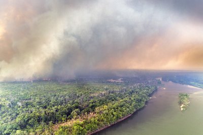 Tropical forest burns in Mato Grosso, Brazil. Photo courtesy of Marizilda Cruppe / Greenpeace.