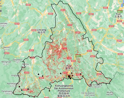 This map visualizes UMD forest loss alerts (2001–2023) in Pu'er, shown as red pixelation. Black dots represent the locations of farms visited by CLW. (Source: Jackson Harris, Coffee Watch, November 2024)