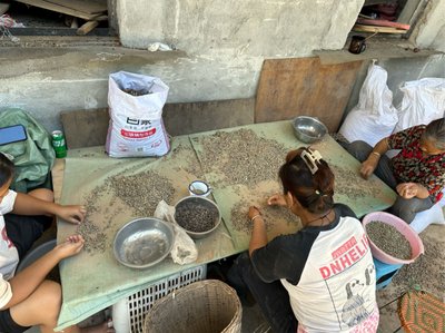 Entrance of a coffee processing workshop in a coffee-growing village in the mountainous region of Pu'er. The girl pictured on the far left is 15 years old and is sorting defective beans during the off-season. These beans were later sold to Nestlé.