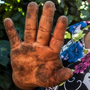 Starbucks e Nespresso compravam grãos de produtor do Triângulo Mineiro que foi flagrado explorando mão mão de obra análoga à de escravos.