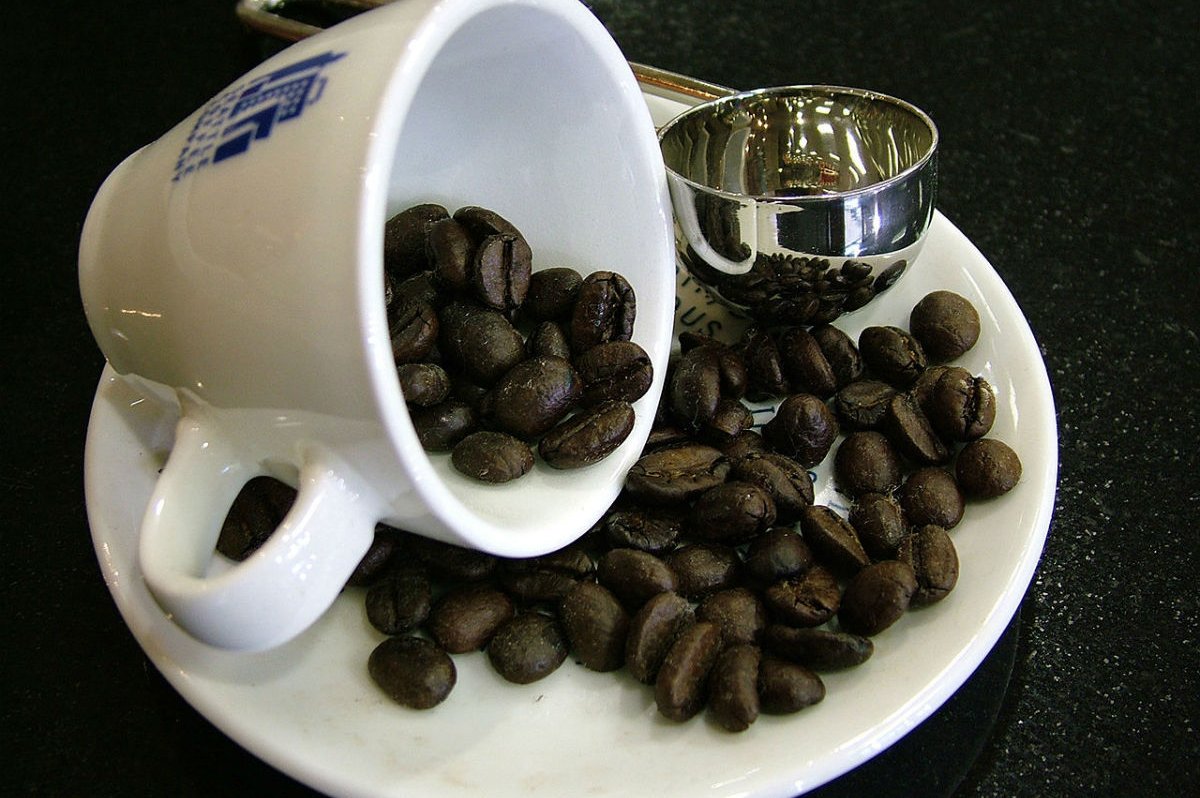 A coffee cup with beans. Photo by Lotus Head via Wikimedia Commons